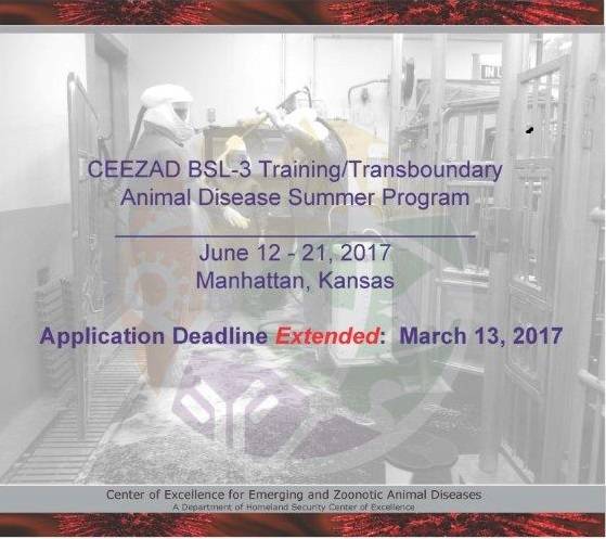 Application extension