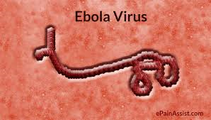 Ebola Virus