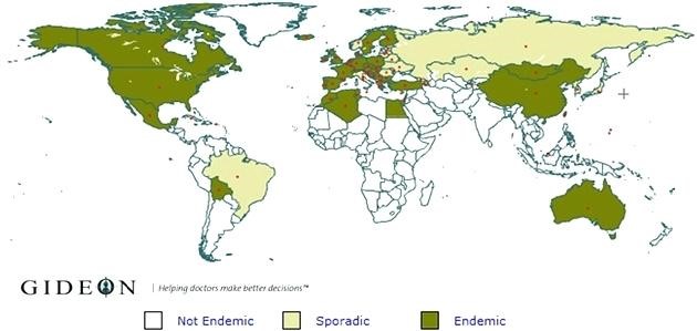 Lyme Disease Map