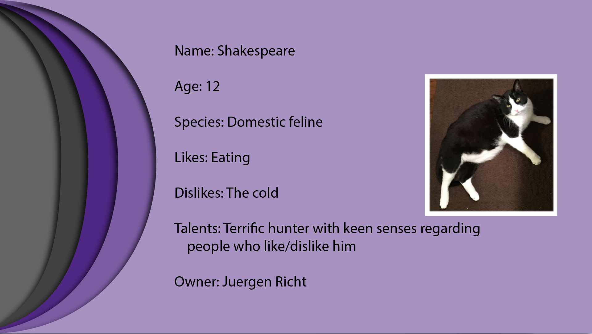 Shakespeare