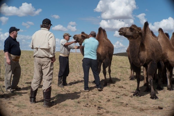 juergen in mongolia